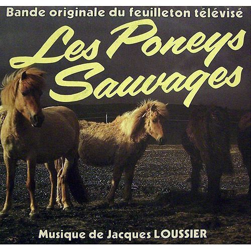 Les Poneys Sauvages