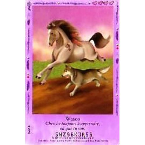 Carte Bella Sara Wasco 26/65