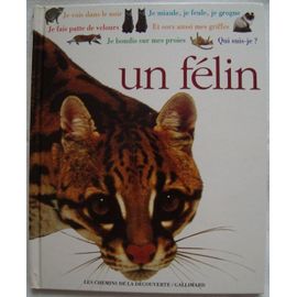 couverture de : UN FELIN