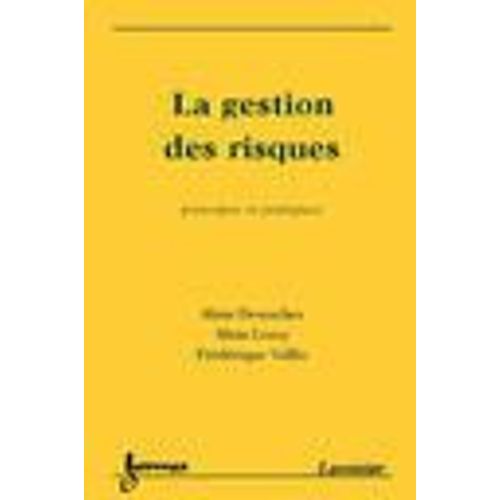 La Gestion Des Risques : Principes Et Pratiques