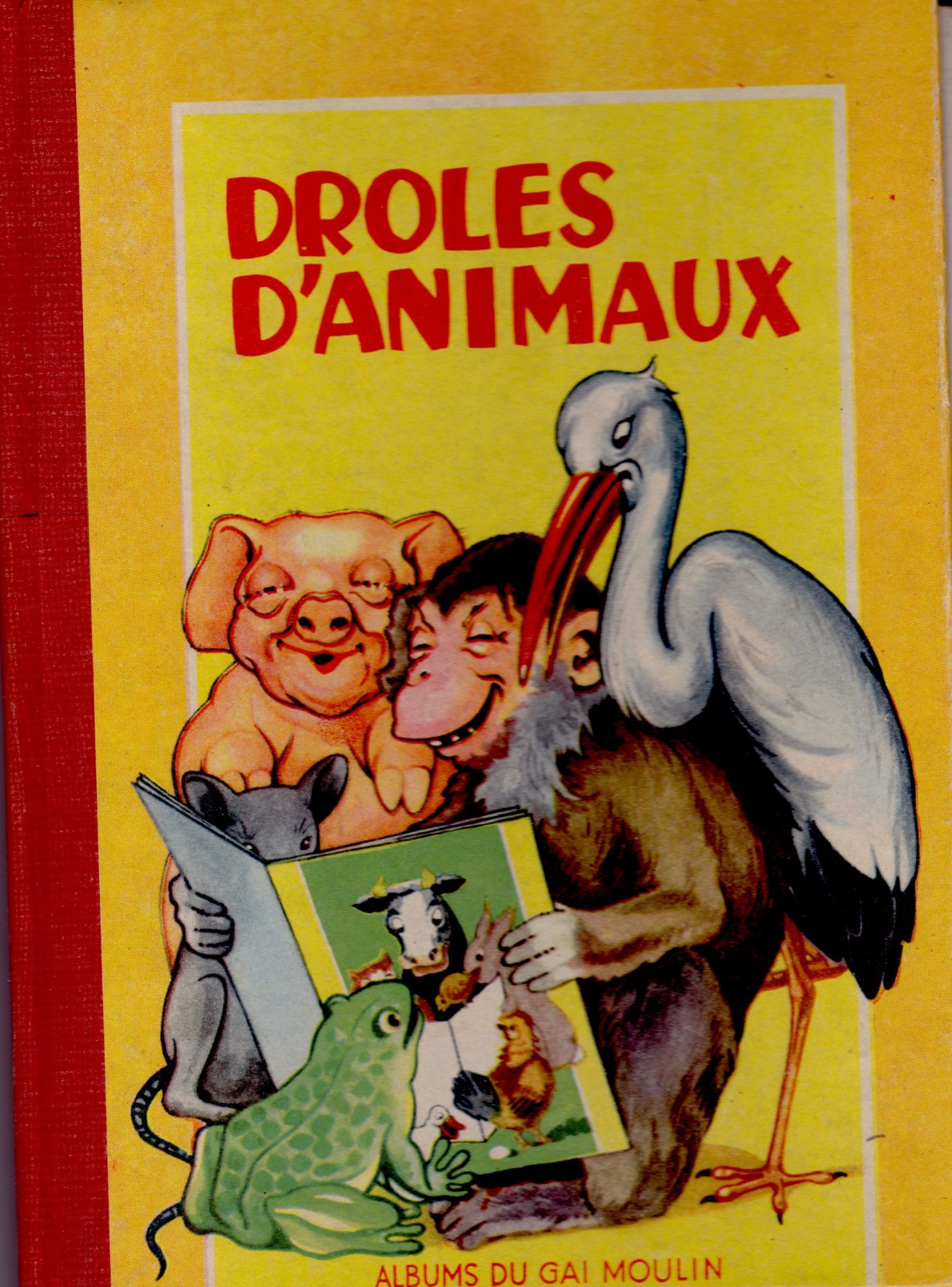 Droles D''animaux