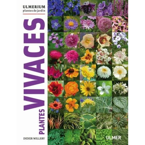 Plantes Vivaces