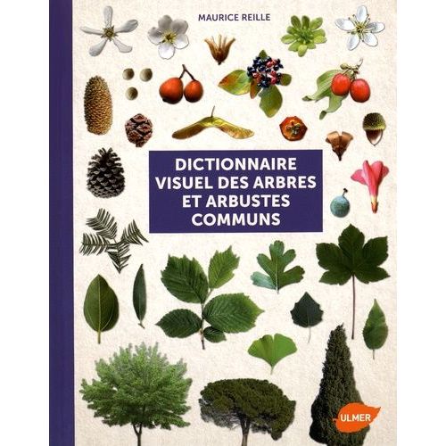 Dictionnaire Visuel Des Arbres Et Arbustes Communs