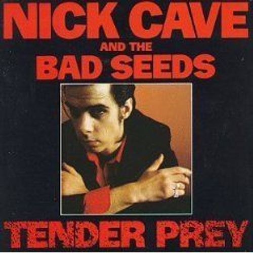Tender Prey