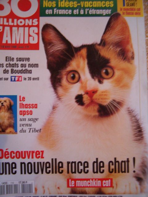 Achat Race De Chat A Prix Bas Neuf Ou Occasion Rakuten