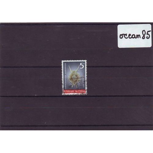 Sénégal 1972 : Poisson - Amphicraspedum Murrayanum - Timbre Oblitéré