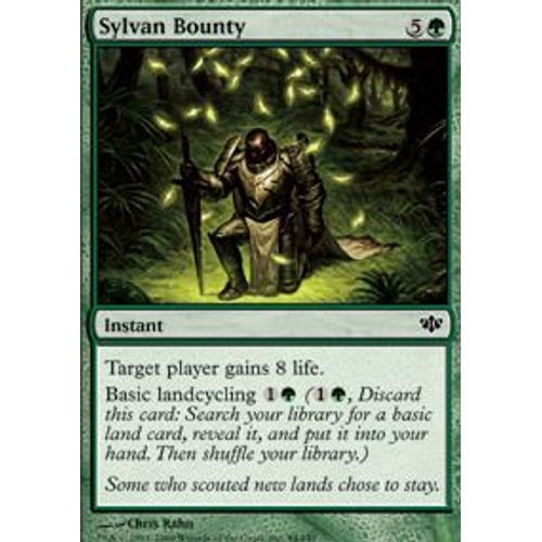 Don Sylvestre  - Magic Mtg - Conflux 94 - C