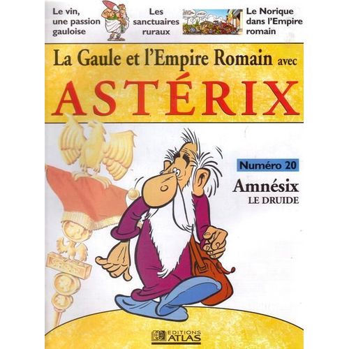 La Gaule Et L'empire Romain Avec Asterix  N° 20 : Amnésix Le Druide