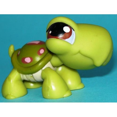 Petshop - La Tortue Verte Rose Mauve N°7