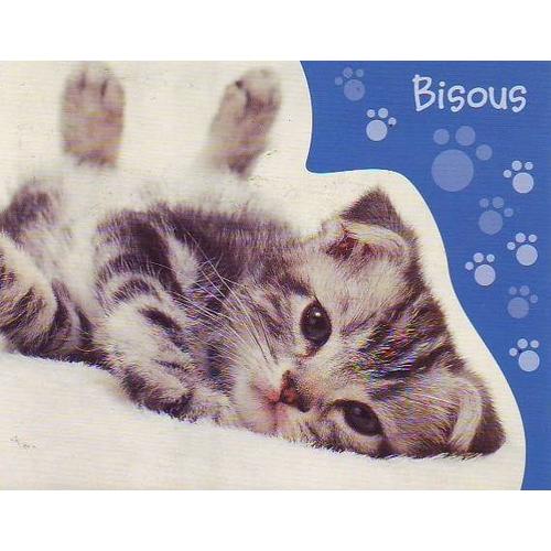 Anniversaire Chat Bisous Carte Postale A 2 Volets 19cm Par 15 Cm Rakuten