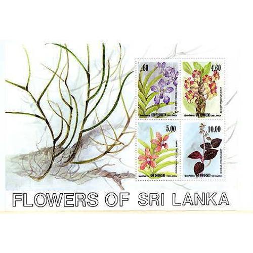 Sri Lanka - Fleurs