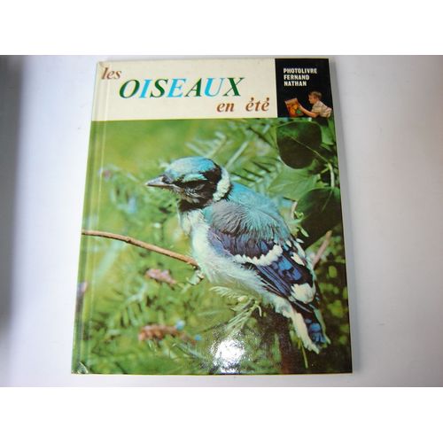Les Oiseaux En Ete