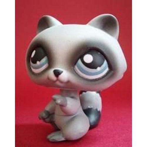 Petshop - Raton Laveur Gris Noir / Pet Shop N°196