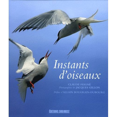 Instants D'oiseaux