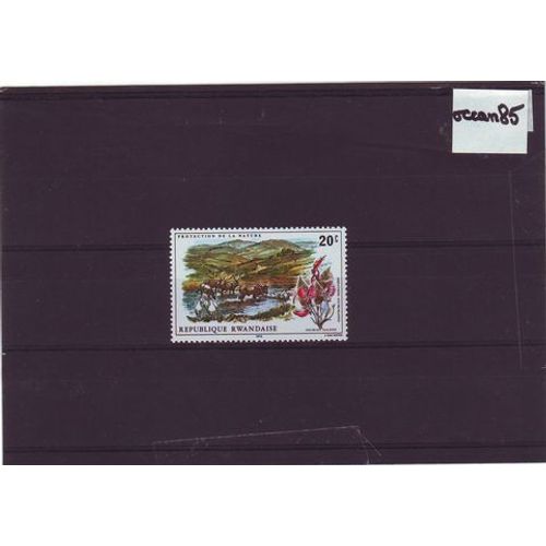 Rwanda 1975 : Protection De La Nature : Paysage Et Fleurs - Valeur Neuve