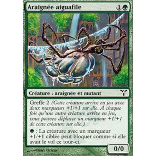 Araignée Aiguafile - Discorde - Vf - Commune