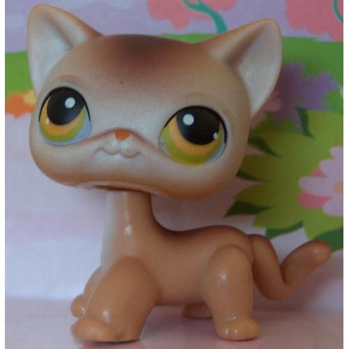 Petshop Chat Beige-Marron - Pet Shop N°19