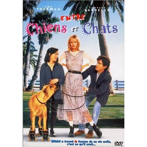 Entre Chiens Et Chats