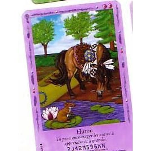 Carte Bella Sara Huron 10/65
