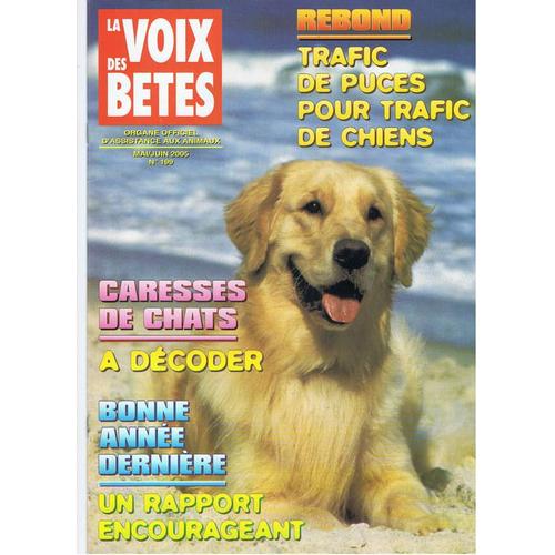 La Voix Des Bêtes  N° 199 : Rebond, Trafic De Puces Pour Trafic De Chiens