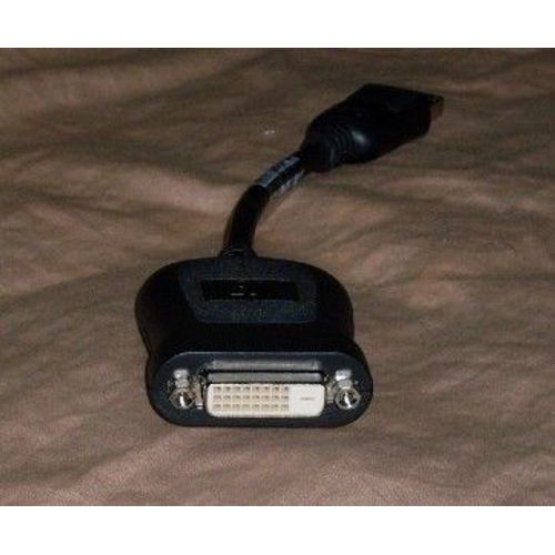 Hewlett-Packard 481409-001  - Adaptateur display port  / dvi