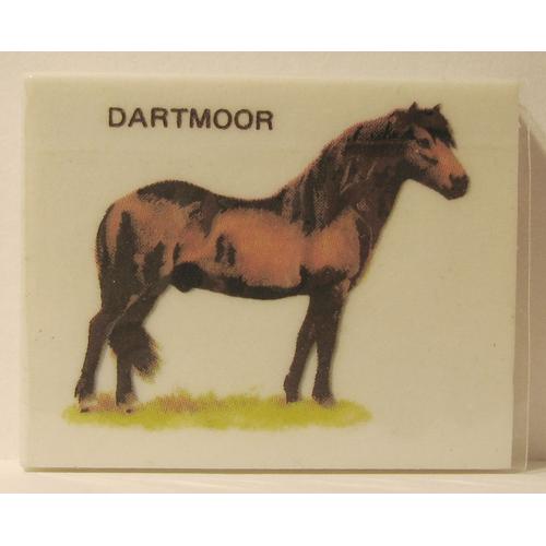 Gomme Blanche Rectangulaire Poney Dartmoor