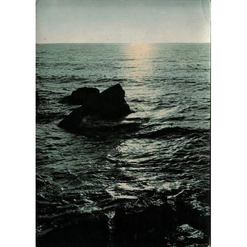 Carte Postale, Bulgarie, Varna, La Mer Noire - Oblitération Du 15/08/1964
