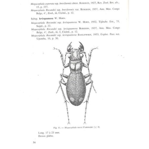 Musee Royal De L'afrique Centrale Tervuren Belgique Annales  N° 152 : Revision Des Megacephala D'afrique (Coleoptera Carabidae Cincindelidae)
