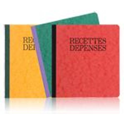 Exacompta : Recettes - Dépenses