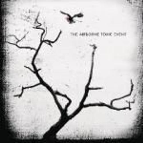 The Airborne Toxic Event (Us Imported)