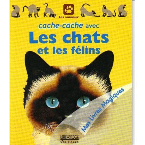Cache-Cache Avec Les Chats Et Les Felins