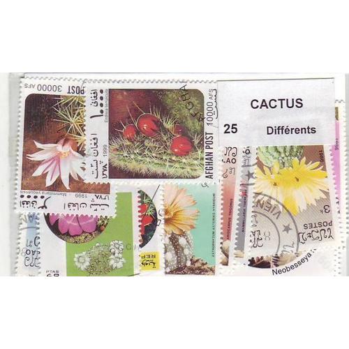 Cactus - Lot De 25 Timbres Differents - Divers Pays Du Monde