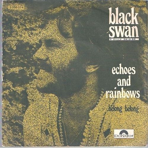 Echoes And Rainbows