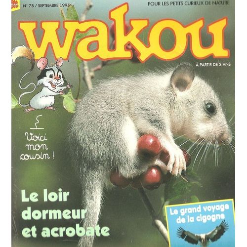Wakou N° 78 : Le Loir Dormeur Et Acrobate