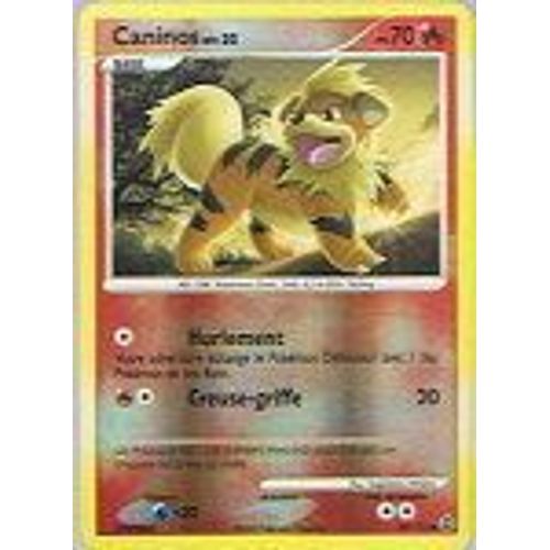 Reverse Caninos - Pokemon - Merveilles Secrètes 89