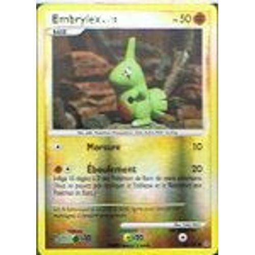 Reverse Embrylex - Pokemon - Tempete 63