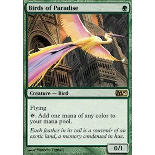 Oiseaux De Paradis - Magic 2010 Vf