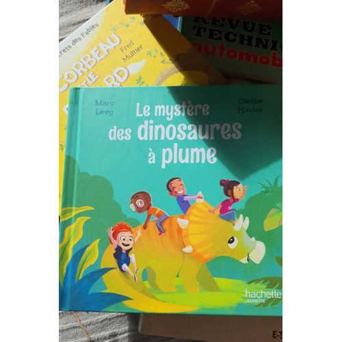Le Mystère Des Dinosaures À Plume