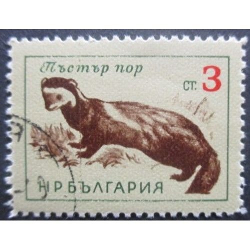 Bulgarie N°1178 Putois Oblitéré