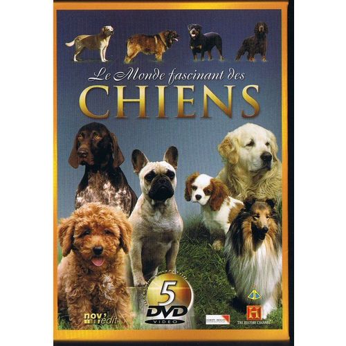 Le Monde Fascinant Des Chiens