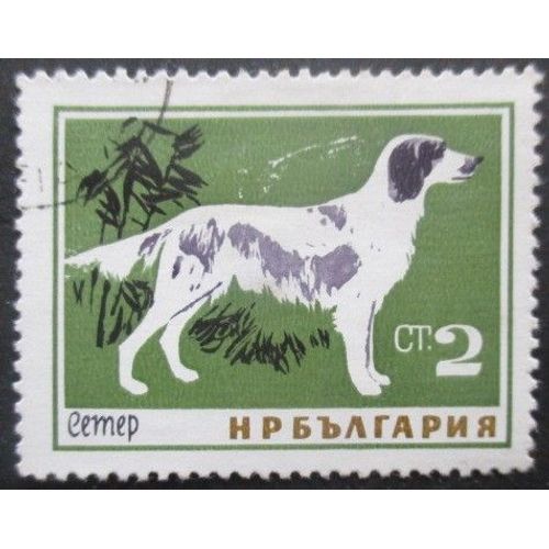 Bulgarie N°1263 Chien Oblitéré
