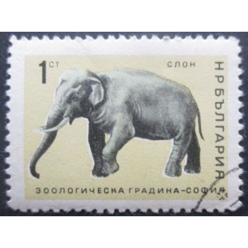 Bulgarie N°1416 Eléphant Oblitéré