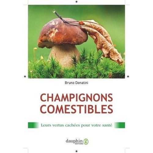 Champignons Comestibles - Leurs Vertus Cachées Pour Votre Santé