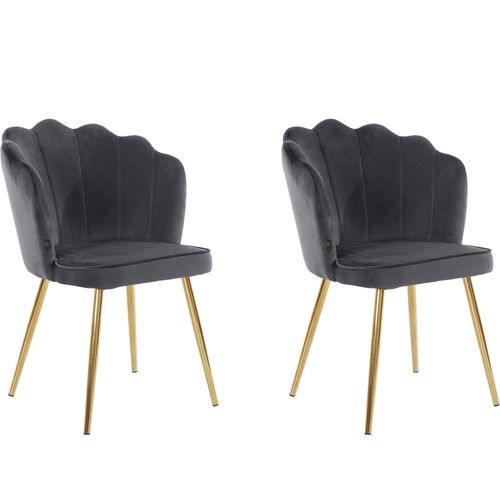 Lot De 2 Chaises De Salle À Manger Rembourrées En Velours Gris