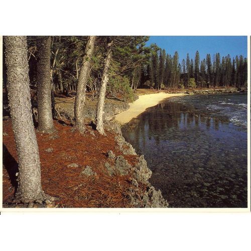 Nouvelle Calédonie : Île Des Pins, Presqu'île De Kuto. Photo H; Lamaestre