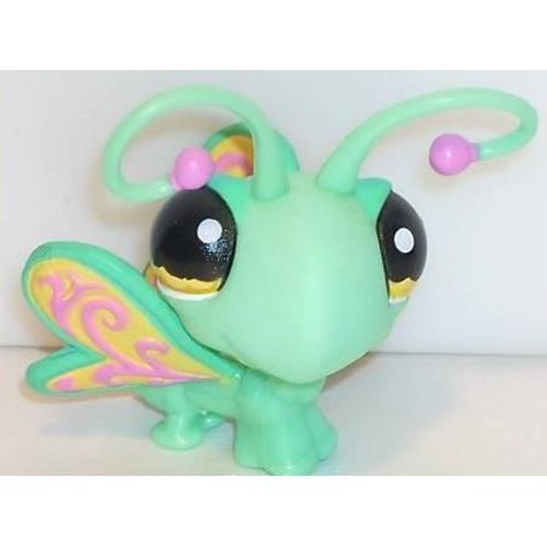 Petshop Papillon Vert & Multicolore / Pet Shop #1136 Usa