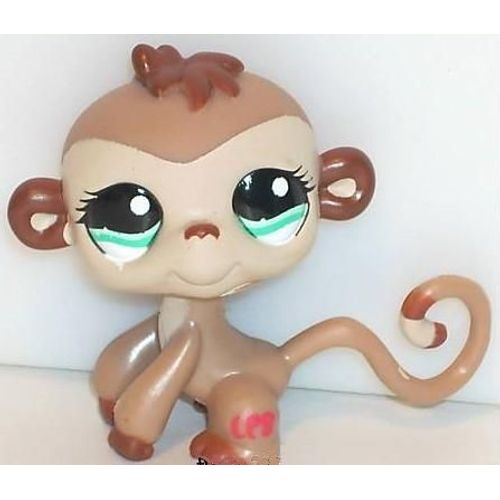 Petshop Singe Ouistiti Marron / Pet Shop #1145 Usa