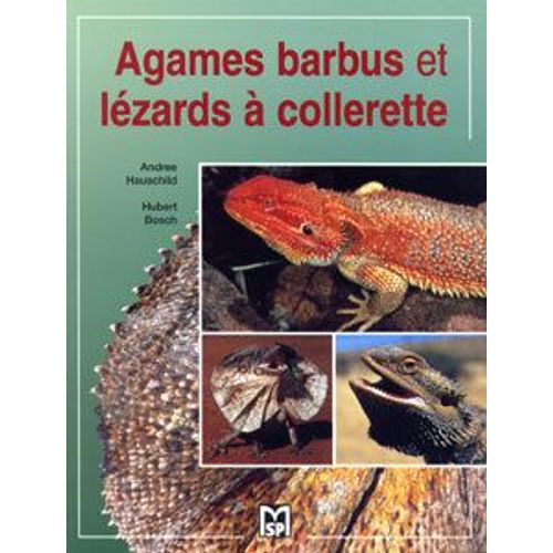 Agames Barbus Et Lézards À Collerette
