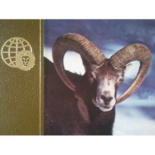 Le Royaume Des Animaux - Encyclopédie Universelle Des Animaux  - Tome 16