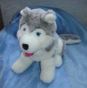 Husky Blanc Yeux Bleu A Prix Bas Neuf Et Occasion Rakuten